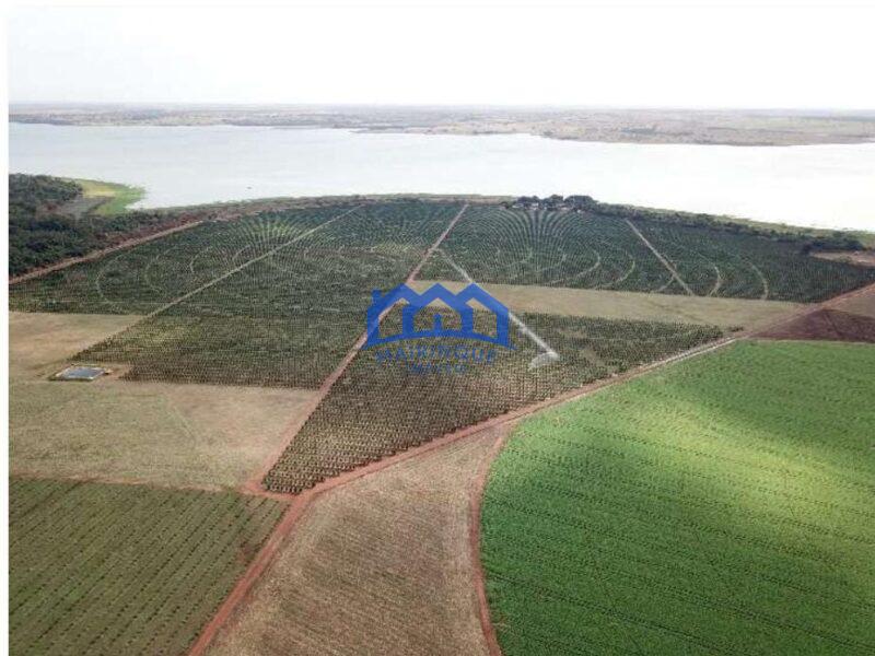 Fazenda com Área Total de 158,33 Hectares, R$ 27.000.000,00. cod.ch1773