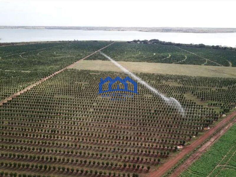 Fazenda com Área Total de 158,33 Hectares, R$ 27.000.000,00. cod.ch1773