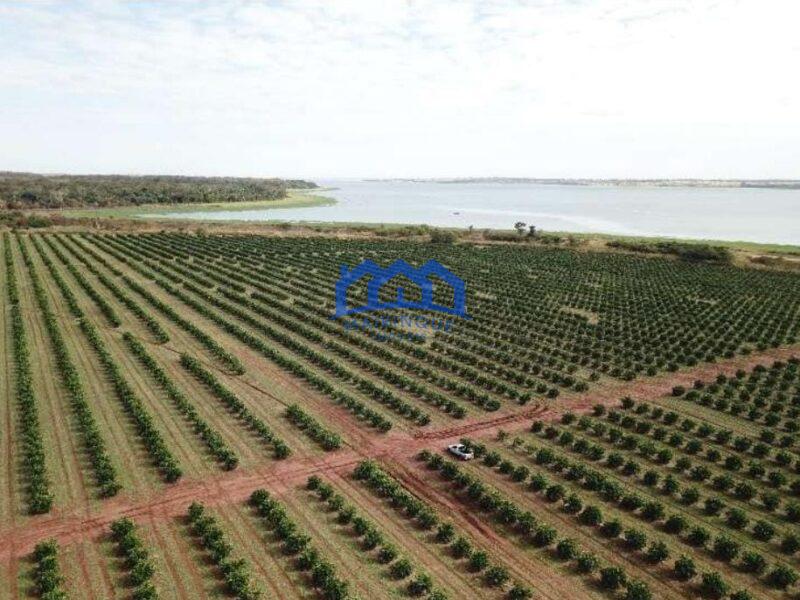 Fazenda com Área Total de 158,33 Hectares, R$ 27.000.000,00. cod.ch1773