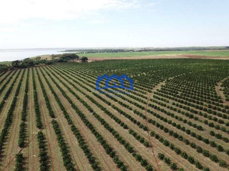 Fazenda com Área Total de 158,33 Hectares, R$ 27.000.000,00. cod.ch1773