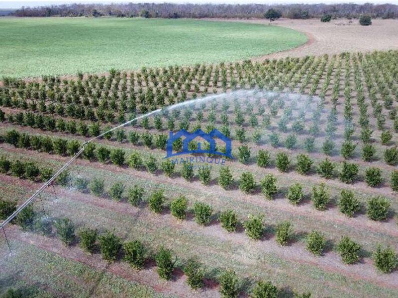 Fazenda com Área Total de 158,33 Hectares, R$ 27.000.000,00. cod.ch1773