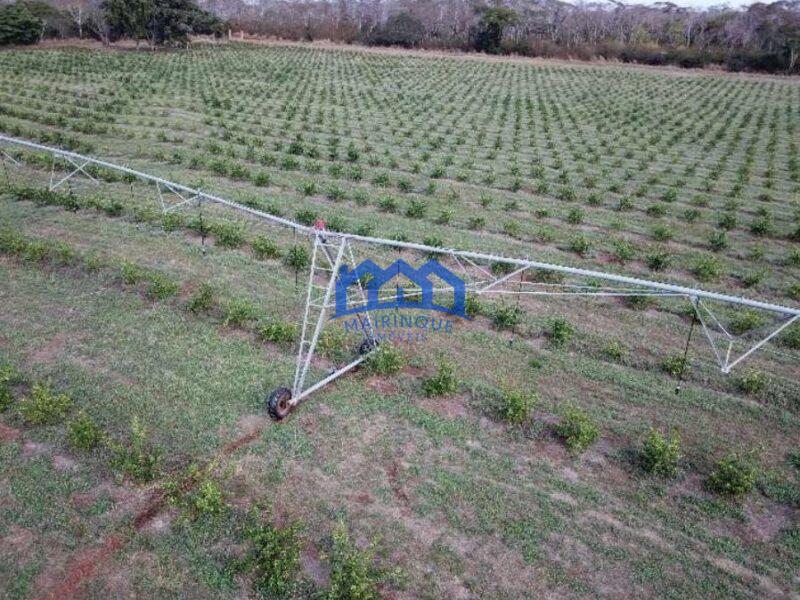 Fazenda com Área Total de 158,33 Hectares, R$ 27.000.000,00. cod.ch1773