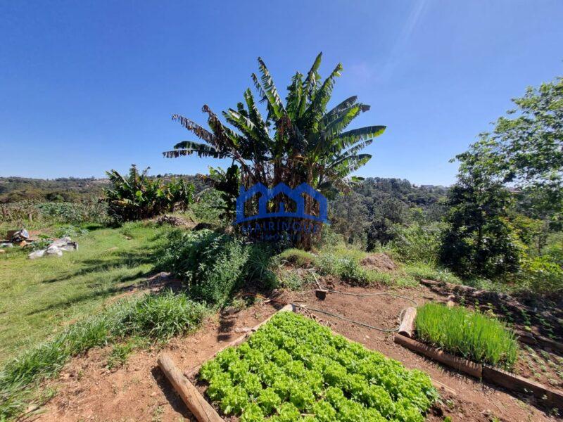 Lote/Terreno à Venda, 4000 m² por R$ 1.000.000. cod ps245