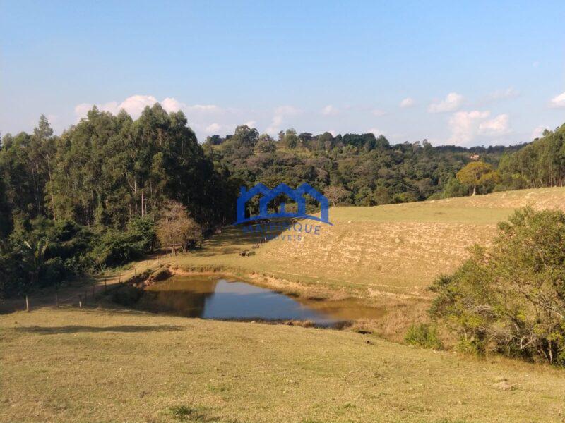 Fazenda com 6 Quartos e 12 banheiros à Venda, 193.600 m² por R$ 6.000.000 cod.ch1888