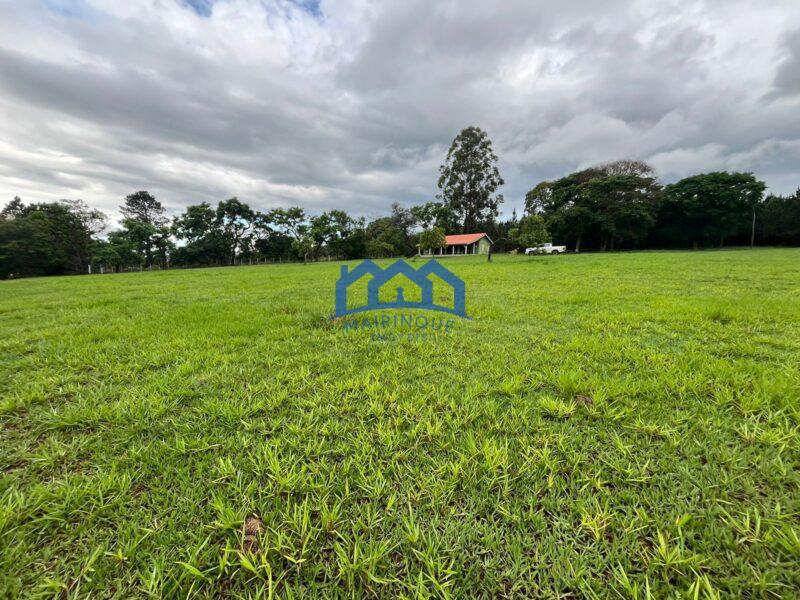 Fazenda/Sítio com 3 Quartos e 1 banheiros à Venda, 160.000 m² por R$ 2.100.000 COD. ch1915