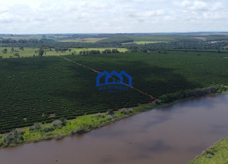 Fazenda/Sítio com 600 alqueires por R$ 180.000.000 cod. ch1964