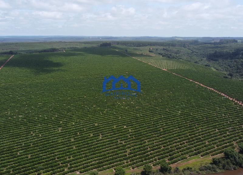 Fazenda/Sítio à Venda, 255 alqueires por R$ 90.000.000 cod. ch1959