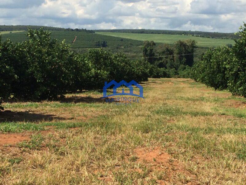 Fazenda/Sítio à Venda, 350 alqueires por R$ 275.000.000 cod. ch1961