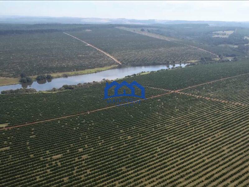 Fazenda/Sítio à Venda, 255 alqueires por R$ 90.000.000 cod. ch1959