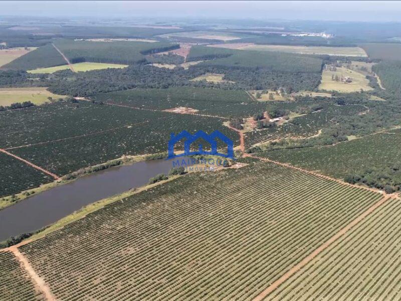 Fazenda/Sítio à Venda, 255 alqueires por R$ 90.000.000 cod. ch1959