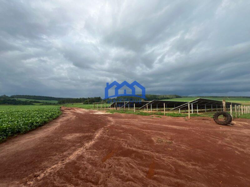 Fazenda/Sítio à Venda, 86 alqueires por R$ 34.400.000 cod. ch1956