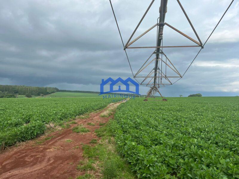 Fazenda/Sítio à Venda, 86 alqueires por R$ 34.400.000 cod. ch1956