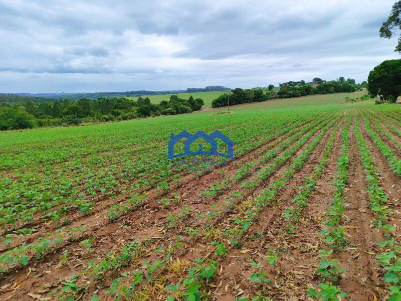 Fazenda/Sítio com 53 alqueires por R$ 15.500.000 cod. ch1967