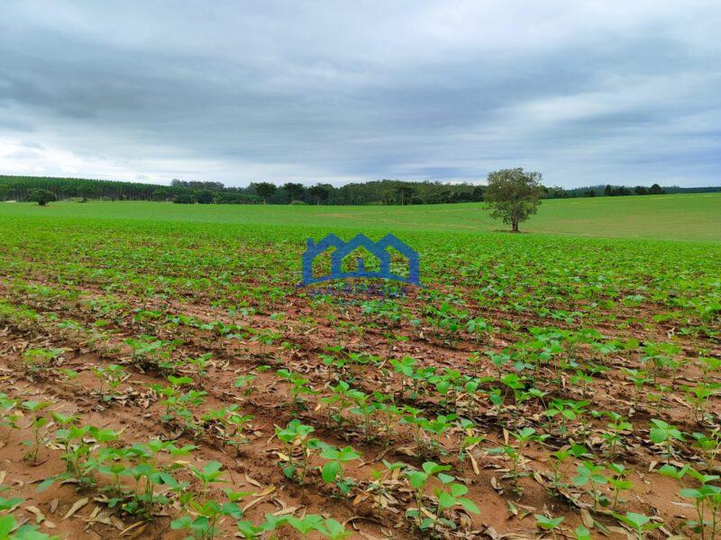 Fazenda/Sítio com 53 alqueires por R$ 15.500.000 cod. ch1967