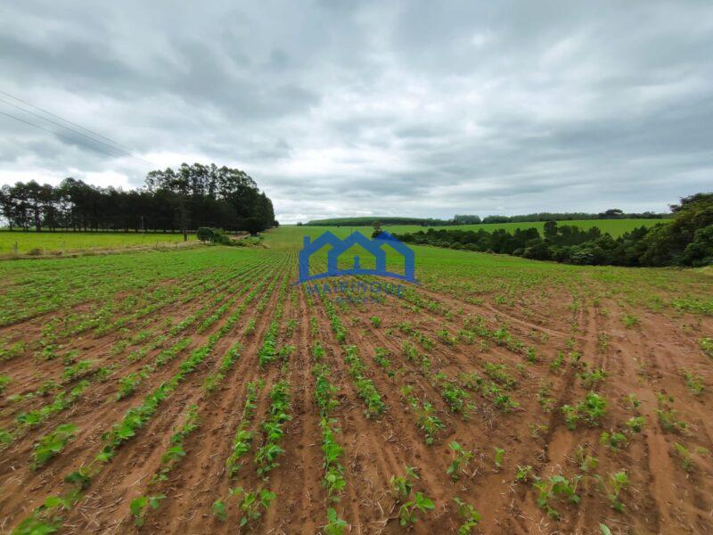 Fazenda/Sítio com 53 alqueires por R$ 15.500.000 cod. ch1967