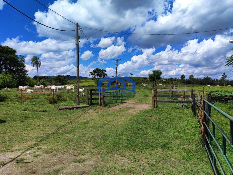 Fazenda/Sítio com 294 alqueires por R$ 44.000.000 cod. ch1969