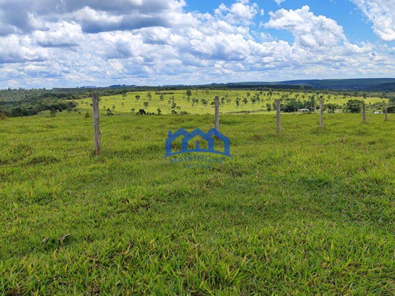 Fazenda/Sítio com 294 alqueires por R$ 44.000.000 cod. ch1969