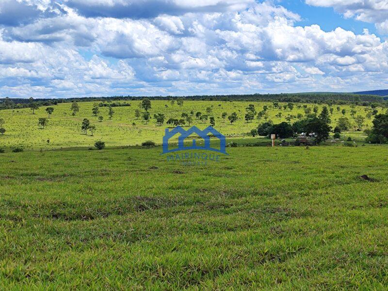 Fazenda/Sítio com 294 alqueires por R$ 44.000.000 cod. ch1969