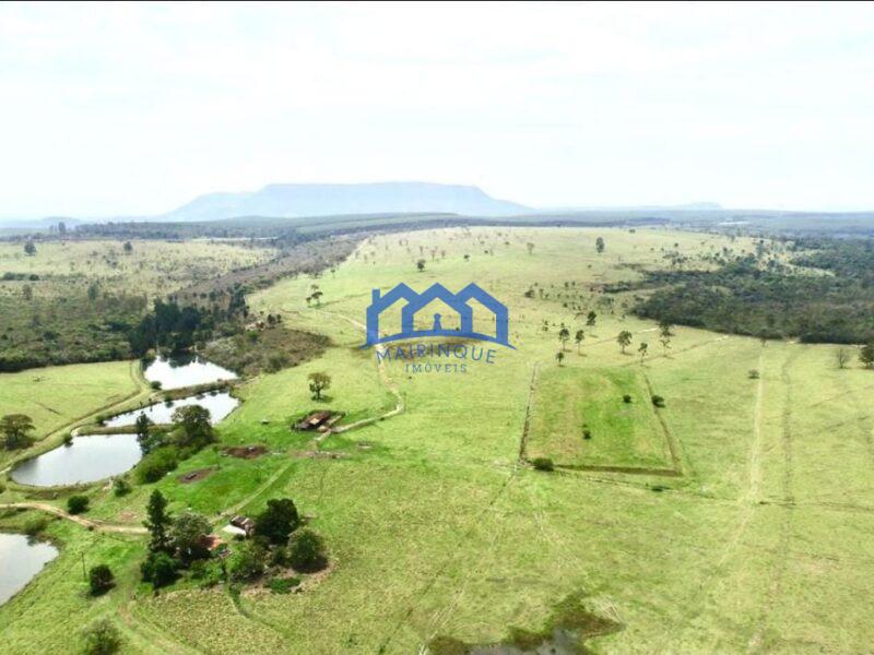 Fazenda/Sítio com 294 alqueires por R$ 44.000.000 cod. ch1969