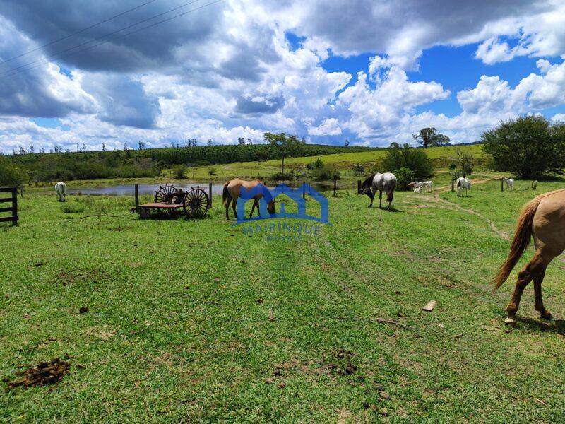 Fazenda/Sítio com 294 alqueires por R$ 44.000.000 cod. ch1969