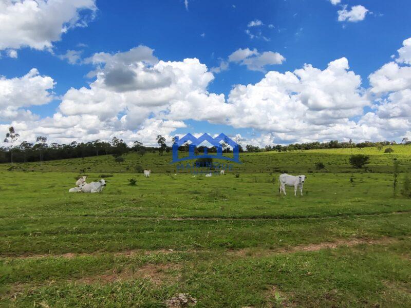 Fazenda/Sítio com 294 alqueires por R$ 44.000.000 cod. ch1969