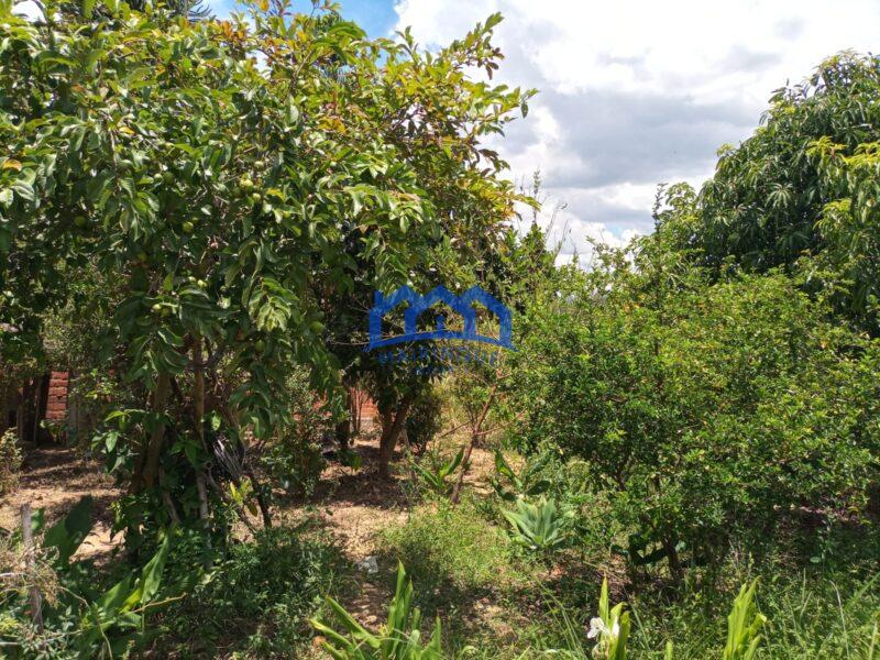 Chácara com 2 Quartos e 2 banheiros à Venda, 2000m² por R$ 250.000 cod. ch2032