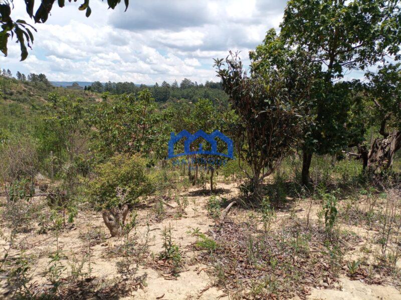 Chácara com 2 Quartos e 2 banheiros à Venda, 2000m² por R$ 250.000 cod. ch2032