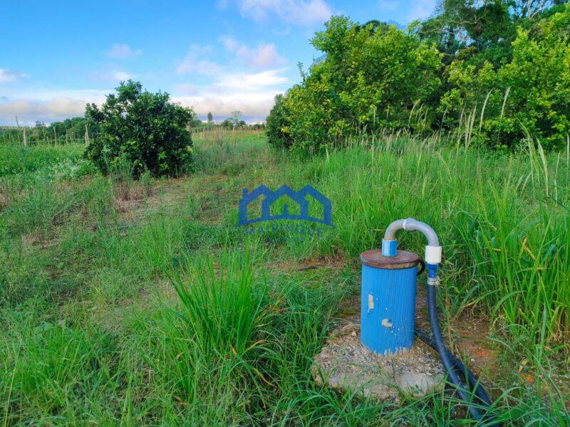 Sitio/Fazenda com 5,19 alqueires á Venda, por R$750.000 cod. ch2113