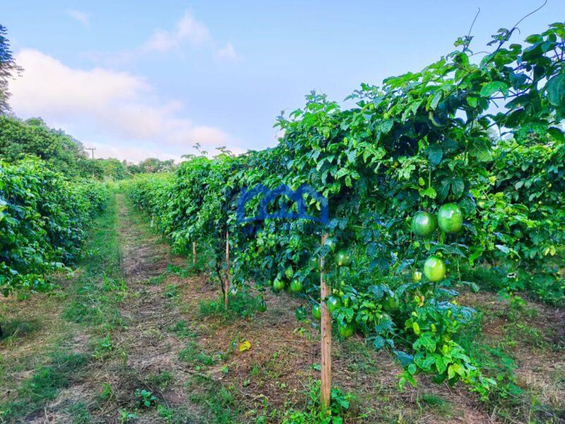 Sitio/Fazenda com 5,19 alqueires á Venda, por R$750.000 cod. ch2113
