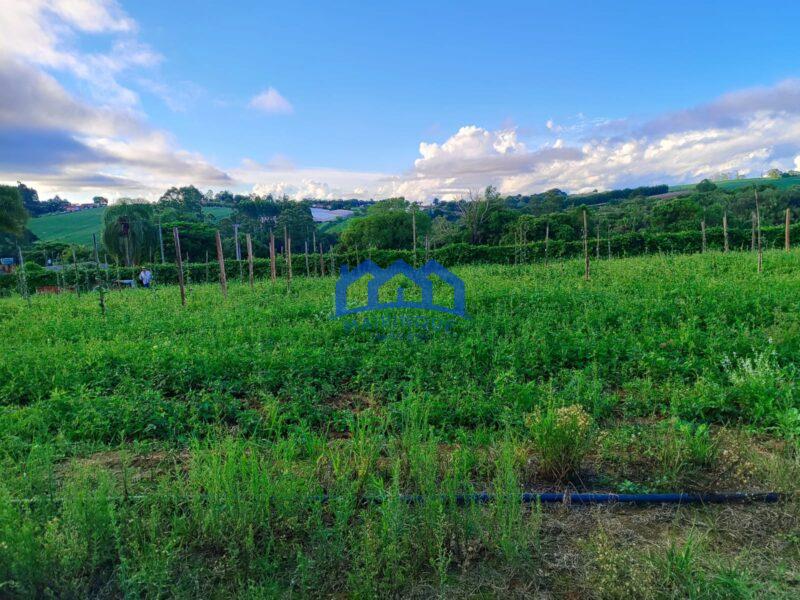 Sitio/Fazenda com 5,19 alqueires á Venda, por R$750.000 cod. ch2113