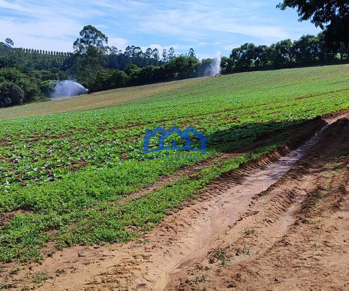 Sitio/Fazenda com 5,19 alqueires á Venda, por R$750.000 cod. ch2113
