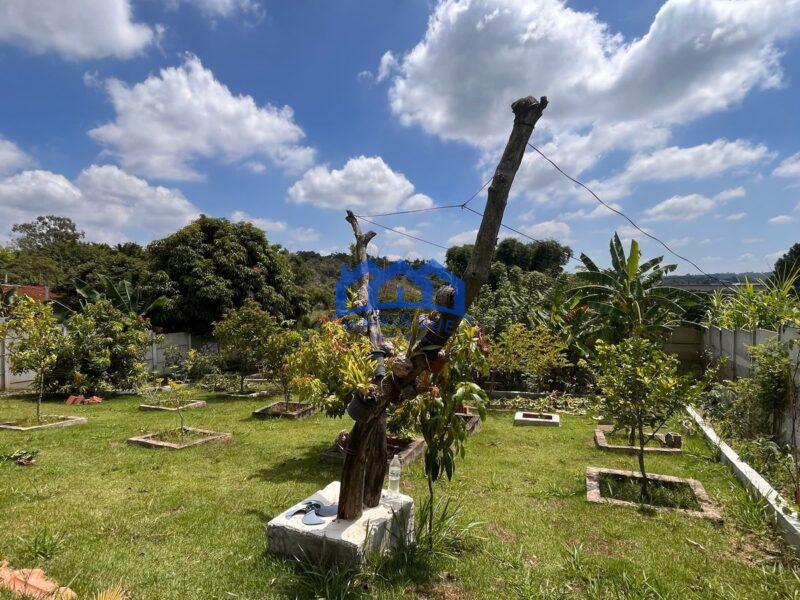 Chácara com 3 quartos e 2 banheiros com 1.000m² à Venda, por R$ 530.000 Cód. ch2151