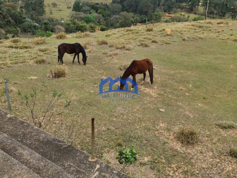 Lote/Terreno com 1.000 m² à Venda, por R$ 110.000,00 Cód. ch2213