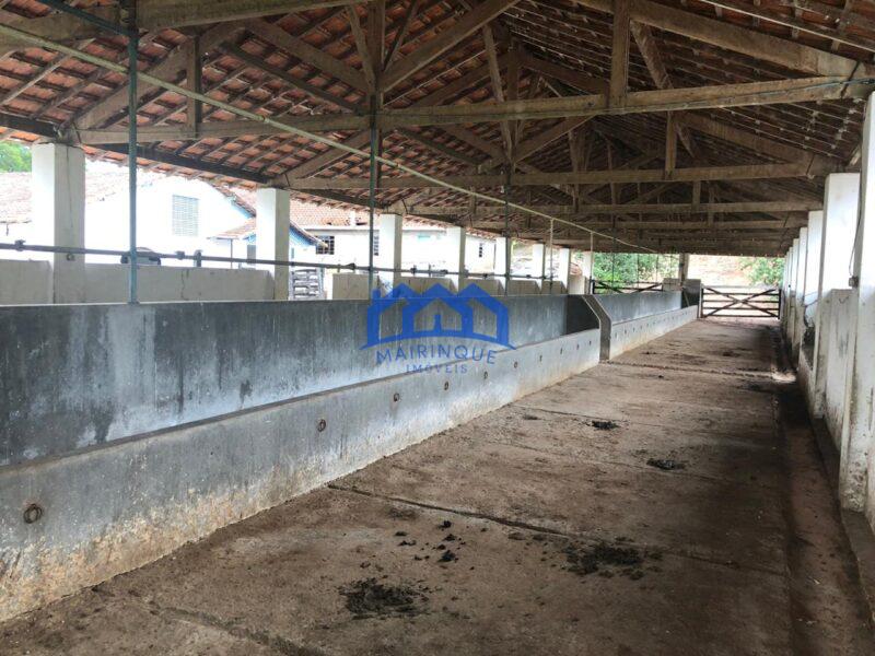 Sitio/Fazenda com 1.067 alqueires à Venda, por R$ 75.000.000,00 Cód. ch2199