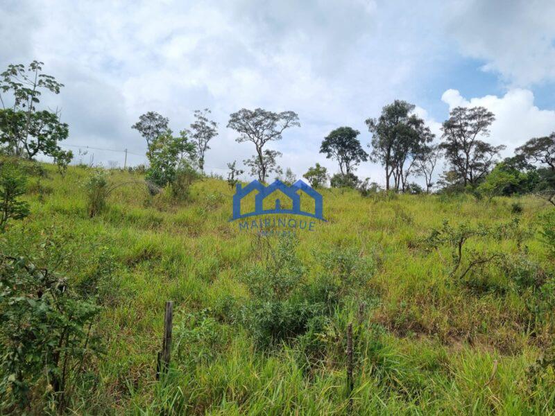 Lote/Terreno com 5.400 m² à Venda, por R$ 700.000 Cód. ch2223