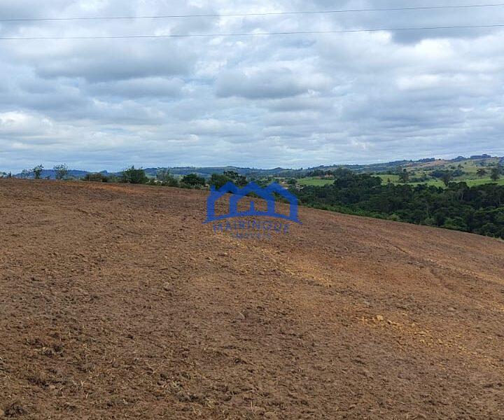 Sitio/Fazenda com 15,5 Alqueires á venda, por R$2.790.000 cod. ch2228