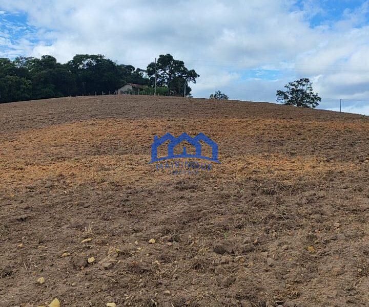 Sitio/Fazenda com 15,5 Alqueires á venda, por R$2.790.000 cod. ch2228