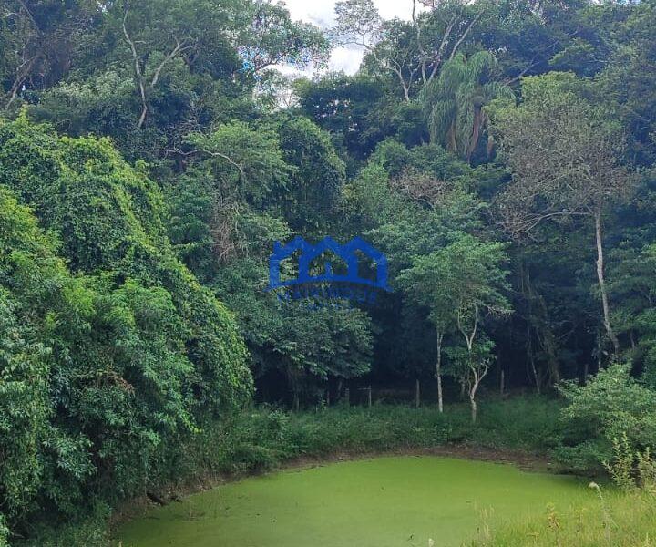 Sitio/Fazenda com 15,5 Alqueires á venda, por R$2.790.000 cod. ch2228