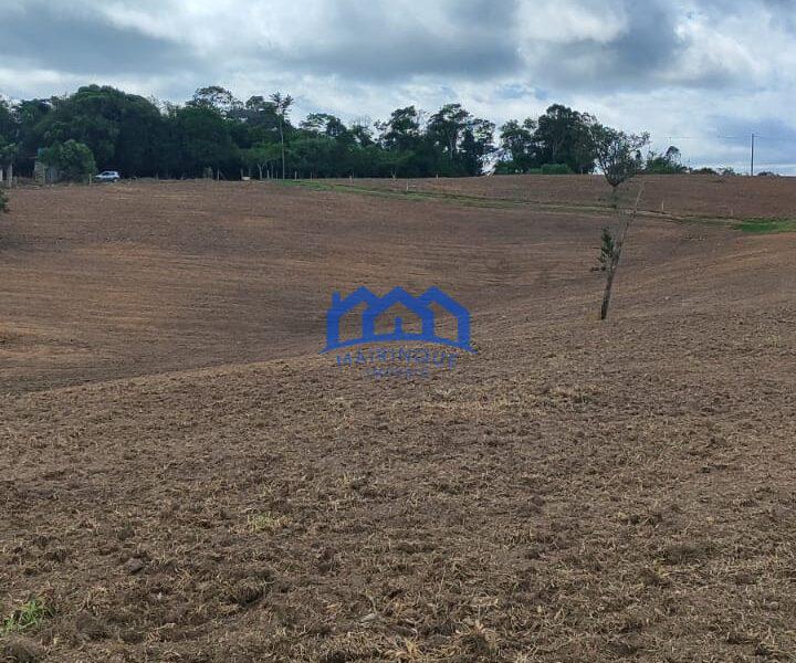 Sitio/Fazenda com 15,5 Alqueires á venda, por R$2.790.000 cod. ch2228