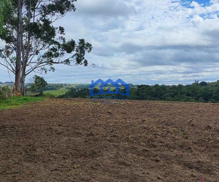 Sitio/Fazenda com 15,5 Alqueires á venda, por R$2.790.000 cod. ch2228