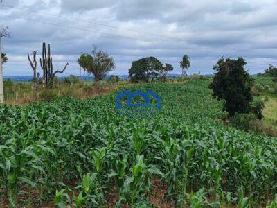 Sitio/Fazenda com 15,5 Alqueires á venda, por R$2.790.000 cod. ch2228