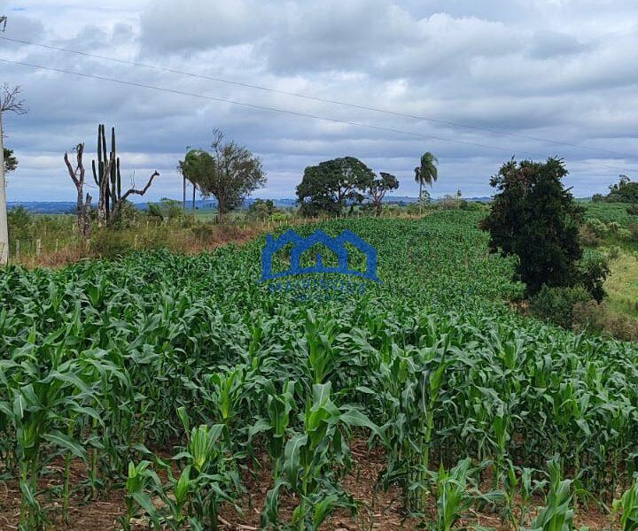Sitio/Fazenda com 15,5 Alqueires á venda, por R$2.790.000 cod. ch2228