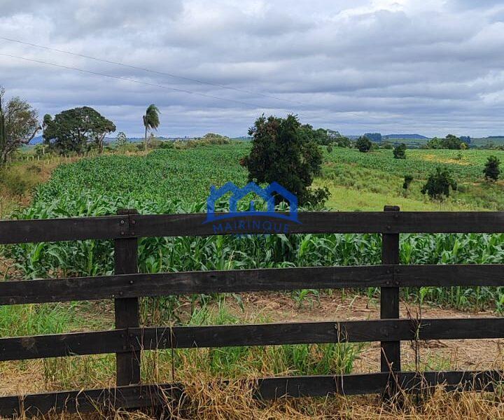 Sitio/Fazenda com 15,5 Alqueires á venda, por R$2.790.000 cod. ch2228