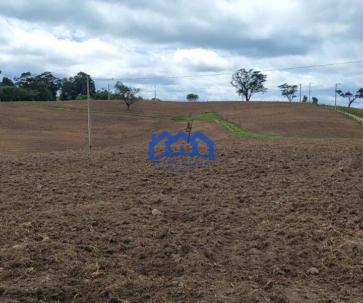 Sitio/Fazenda com 15,5 Alqueires á venda, por R$2.790.000 cod. ch2228