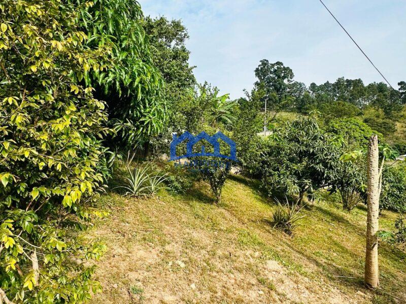 Chácara com 3 quartos e 1 banheiro à Venda, com 1.000 m² por R$ 485.000 cod. ch2221