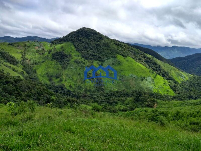 Sitio/Fazenda com 421 alqueires à Venda, por R$ 25.260.000 Cód. ch2149