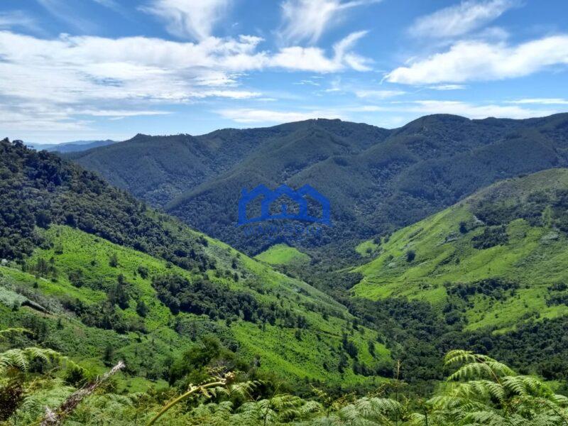 Sitio/Fazenda com 421 alqueires à Venda, por R$ 25.260.000 Cód. ch2149