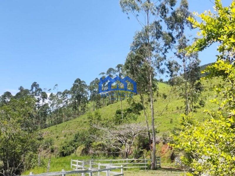Sitio/Fazenda com 421 alqueires à Venda, por R$ 25.260.000 Cód. ch2149