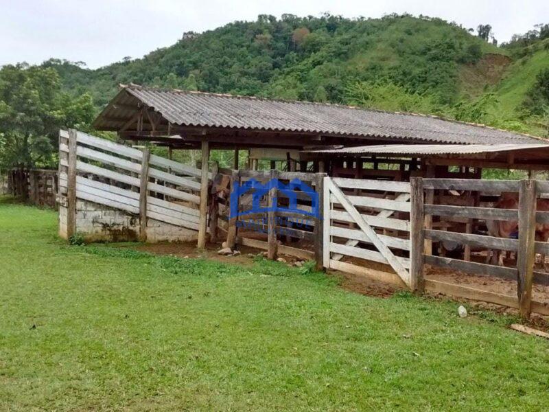 Sitio/Fazenda com 421 alqueires à Venda, por R$ 25.260.000 Cód. ch2149