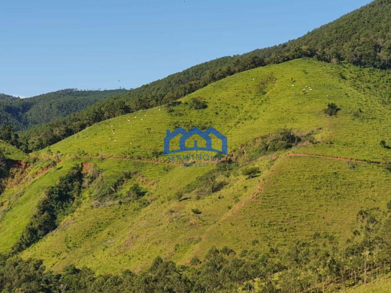Sitio/Fazenda com 421 alqueires à Venda, por R$ 25.260.000 Cód. ch2149
